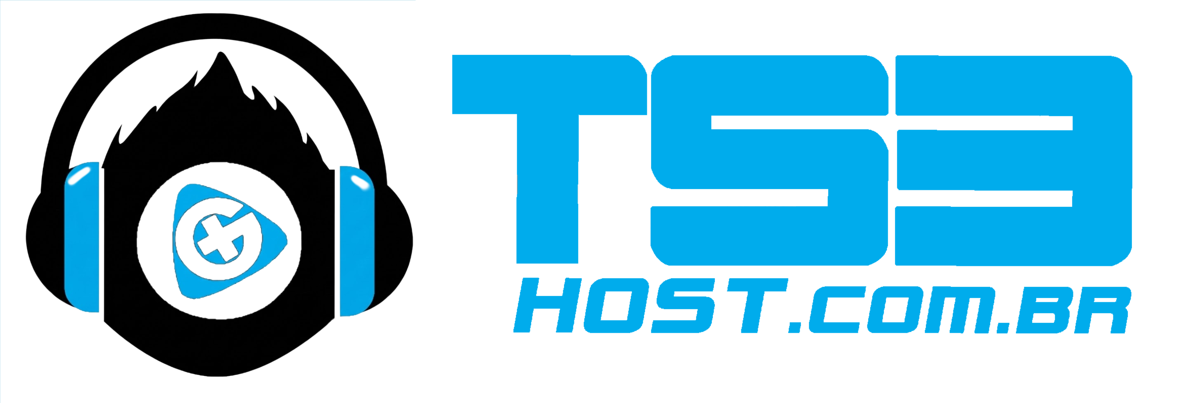 TS3 Host